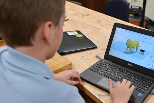 Ls What Makes Cis Special 4