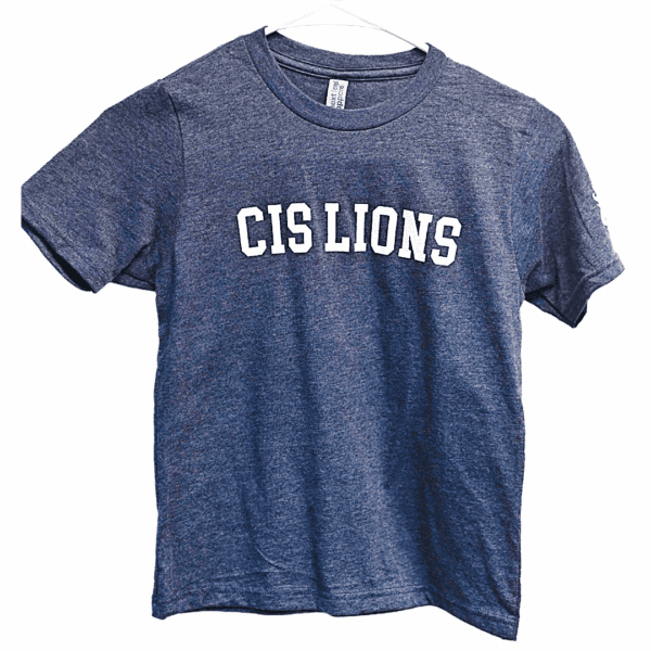 Products 33 Gray T With Logo Sleeve