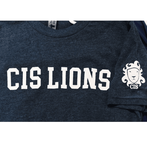 Products 34 Gray T With Logo Sleeve 2 Products 34 Gray T With Logo Sleeve 2