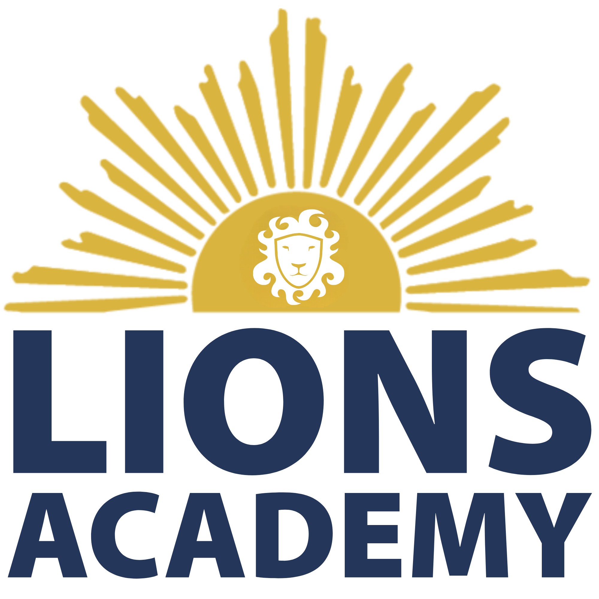 Lions Academy Square